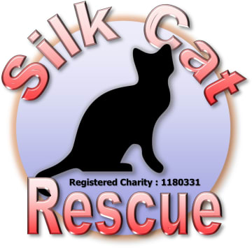Silk Cat Rescue