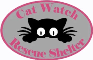 Cat Watch Wilts Rescue