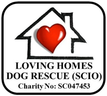 Loving Homes Dog Rescue (SCIO)