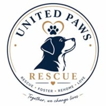 United Paws Rescue 