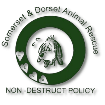 Somerset & Dorset Animal Rescue