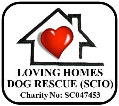 Rescue profile image