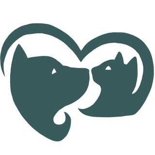 Rescue profile image