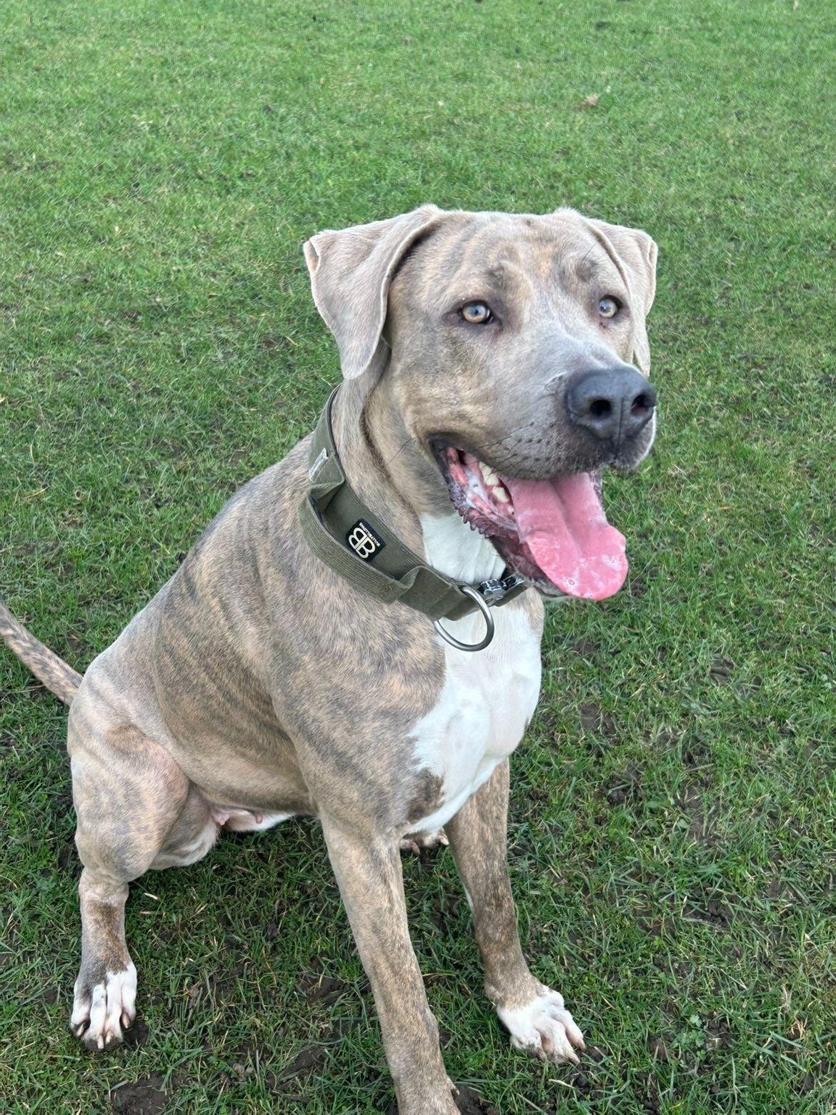 narla