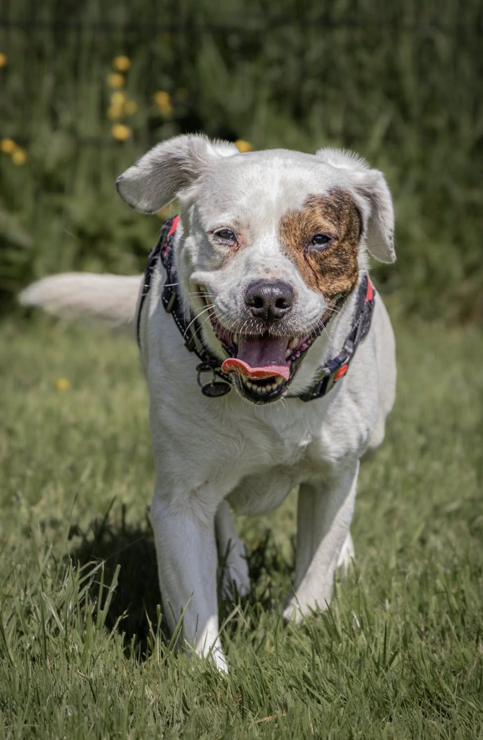 Max