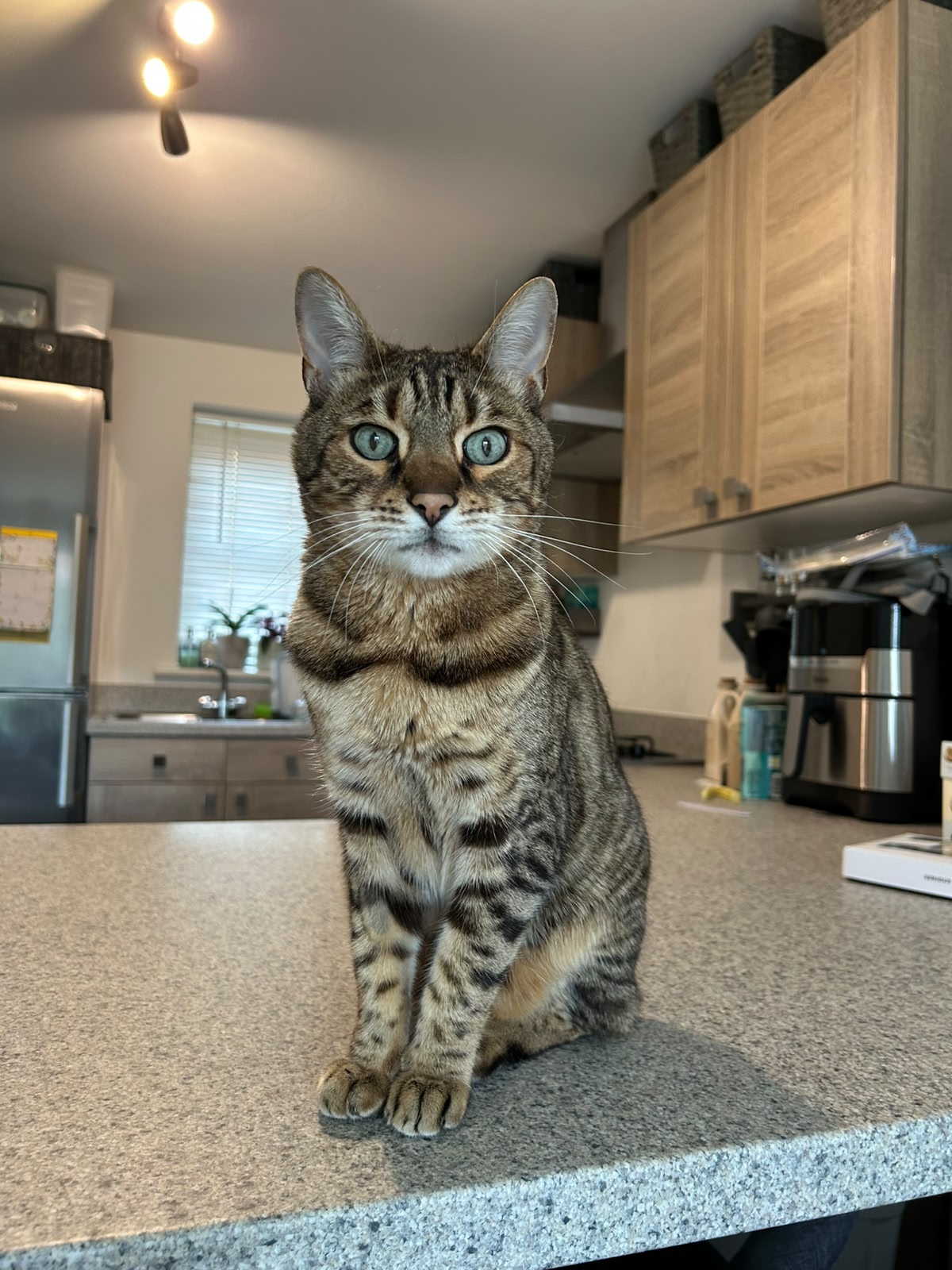 Leo