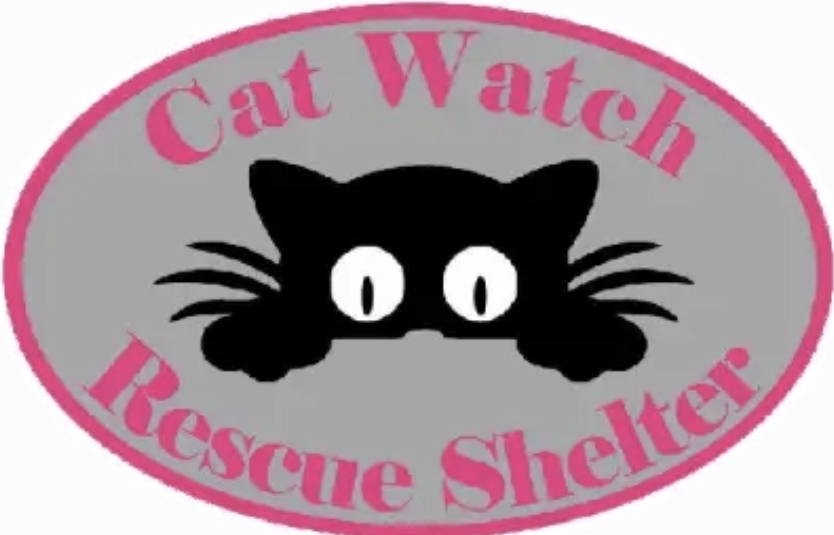 Rescue profile image