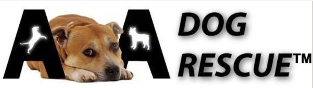 Rescue profile image