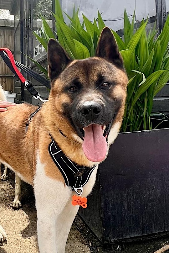 Zeus