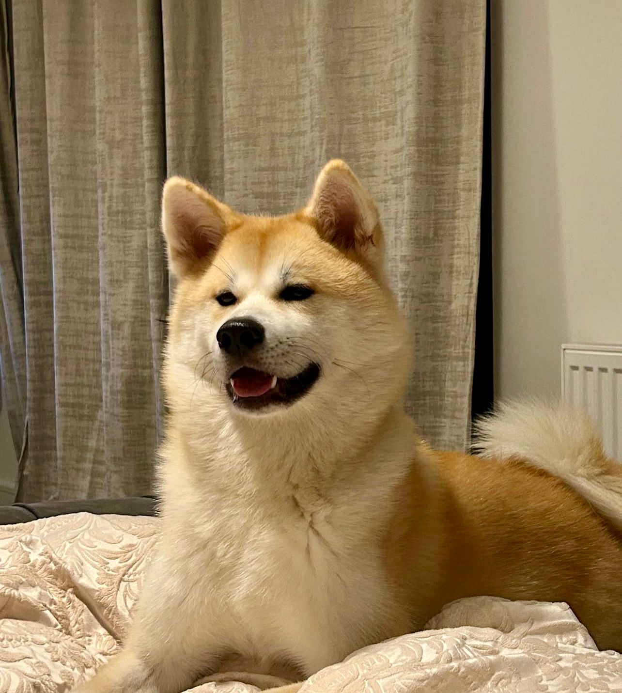 Coco