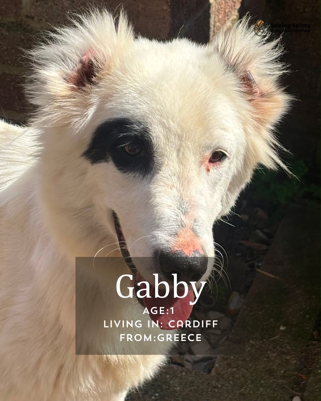Gabby