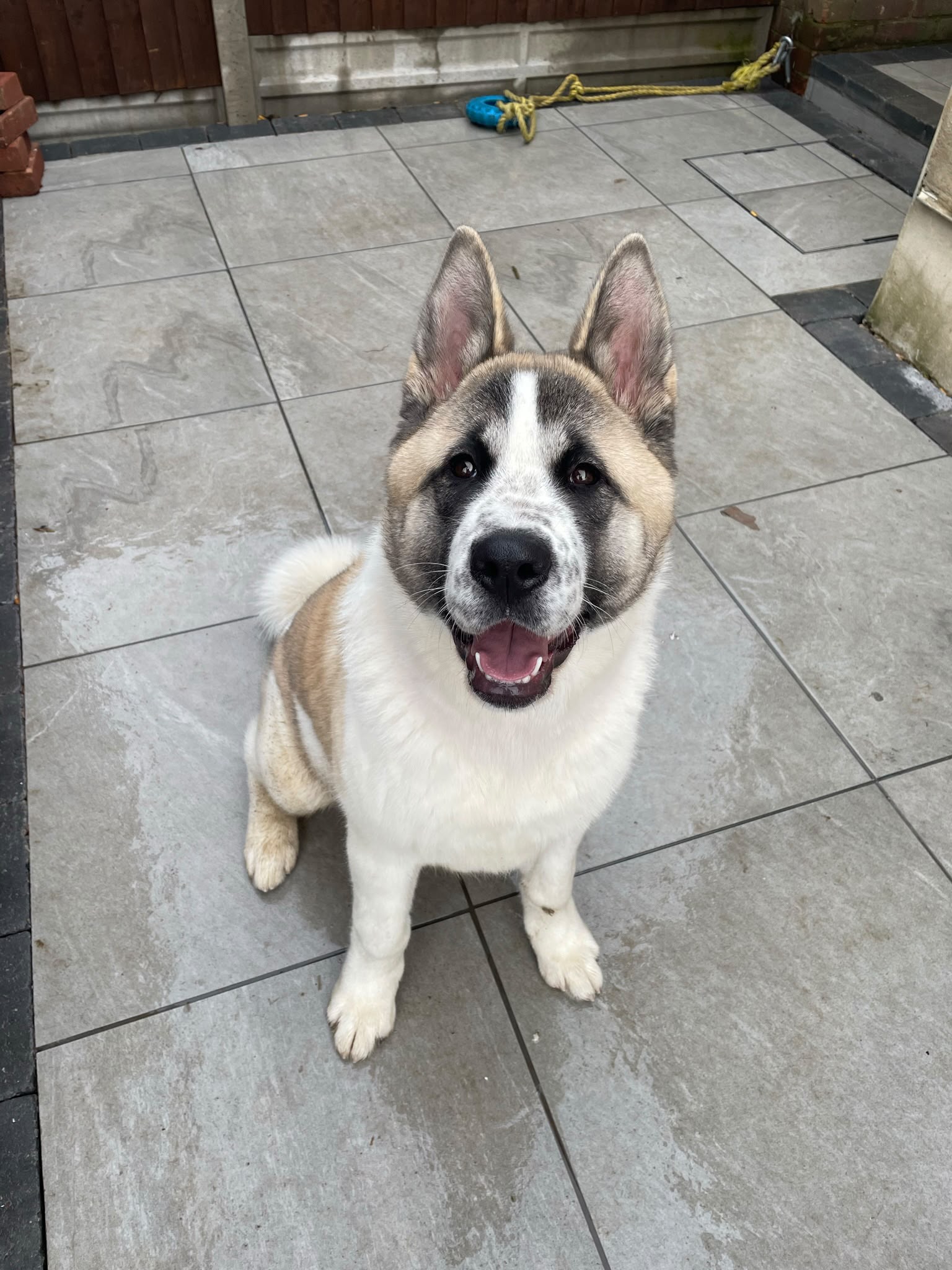 Zeus