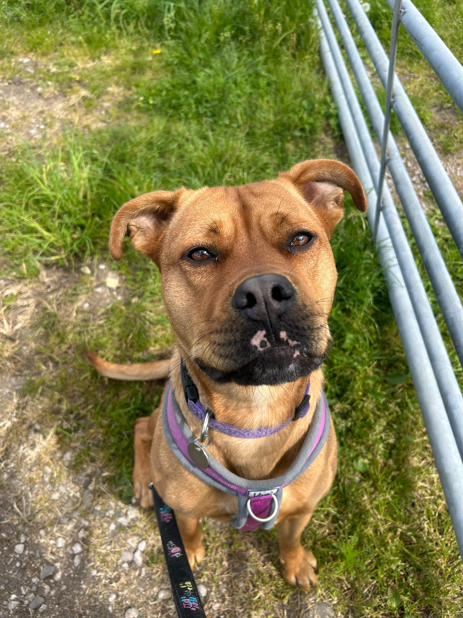 Narla