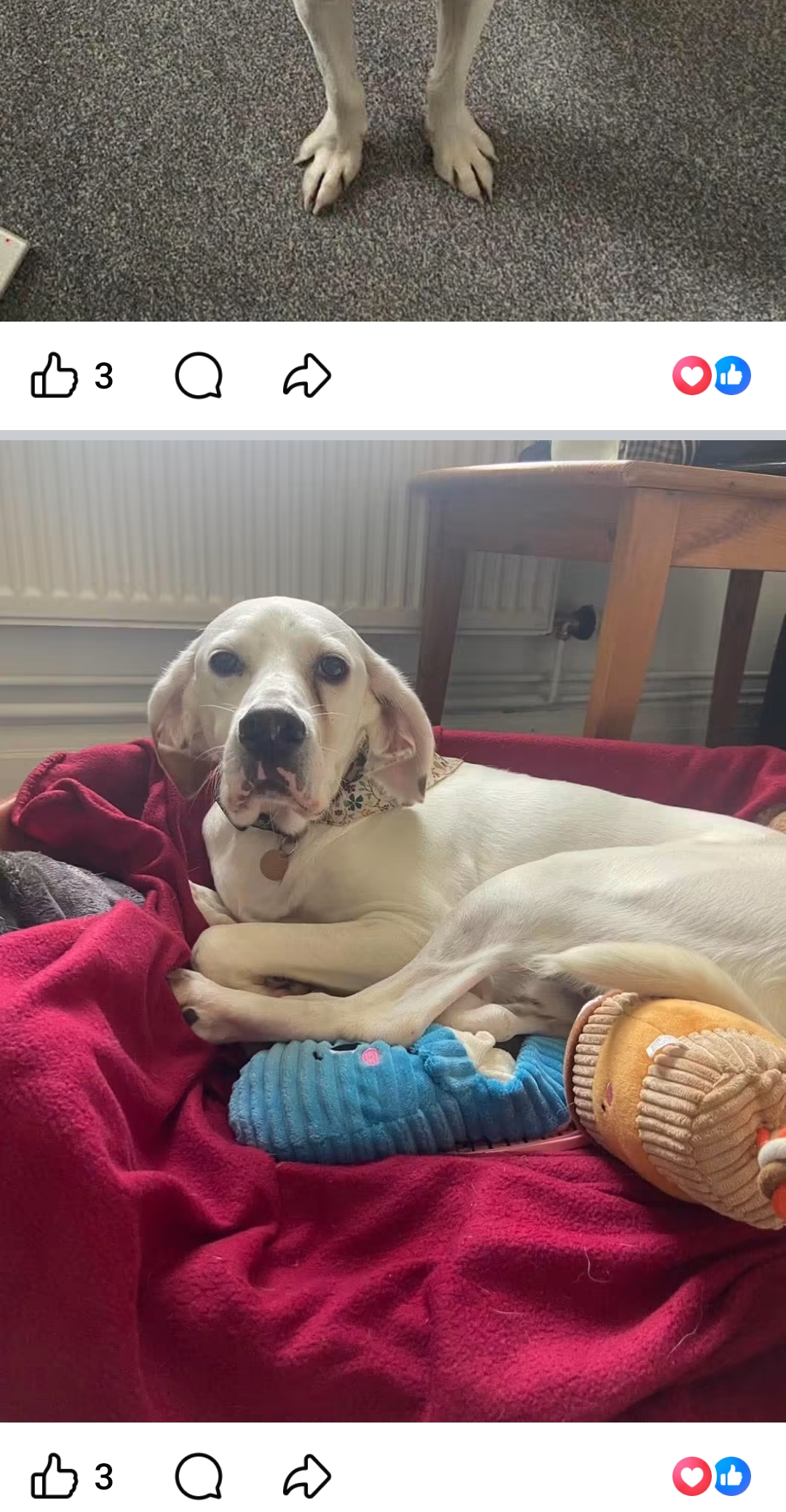 Spirit