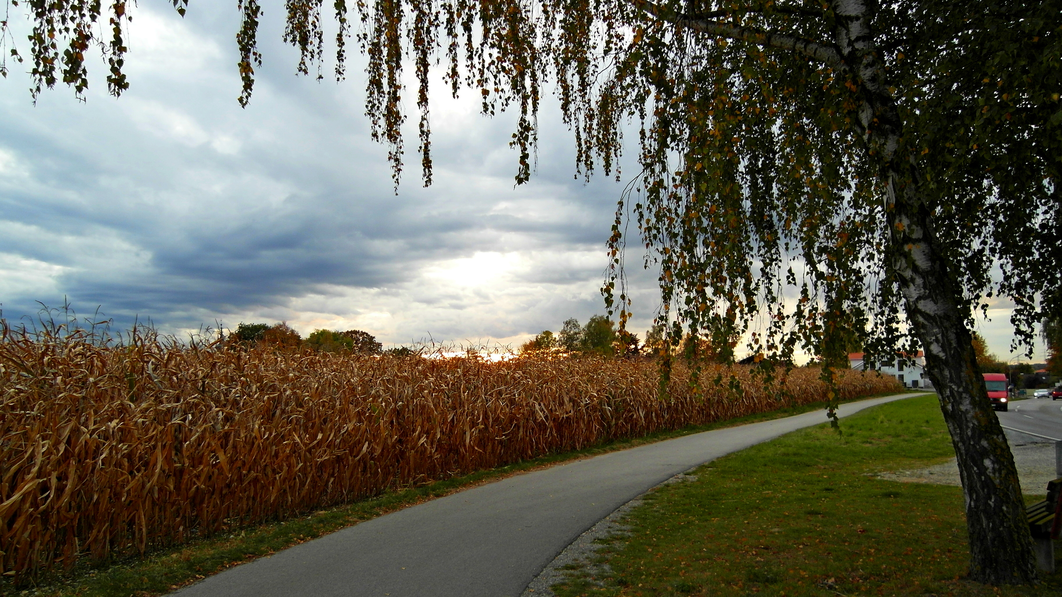 Kein Bild
