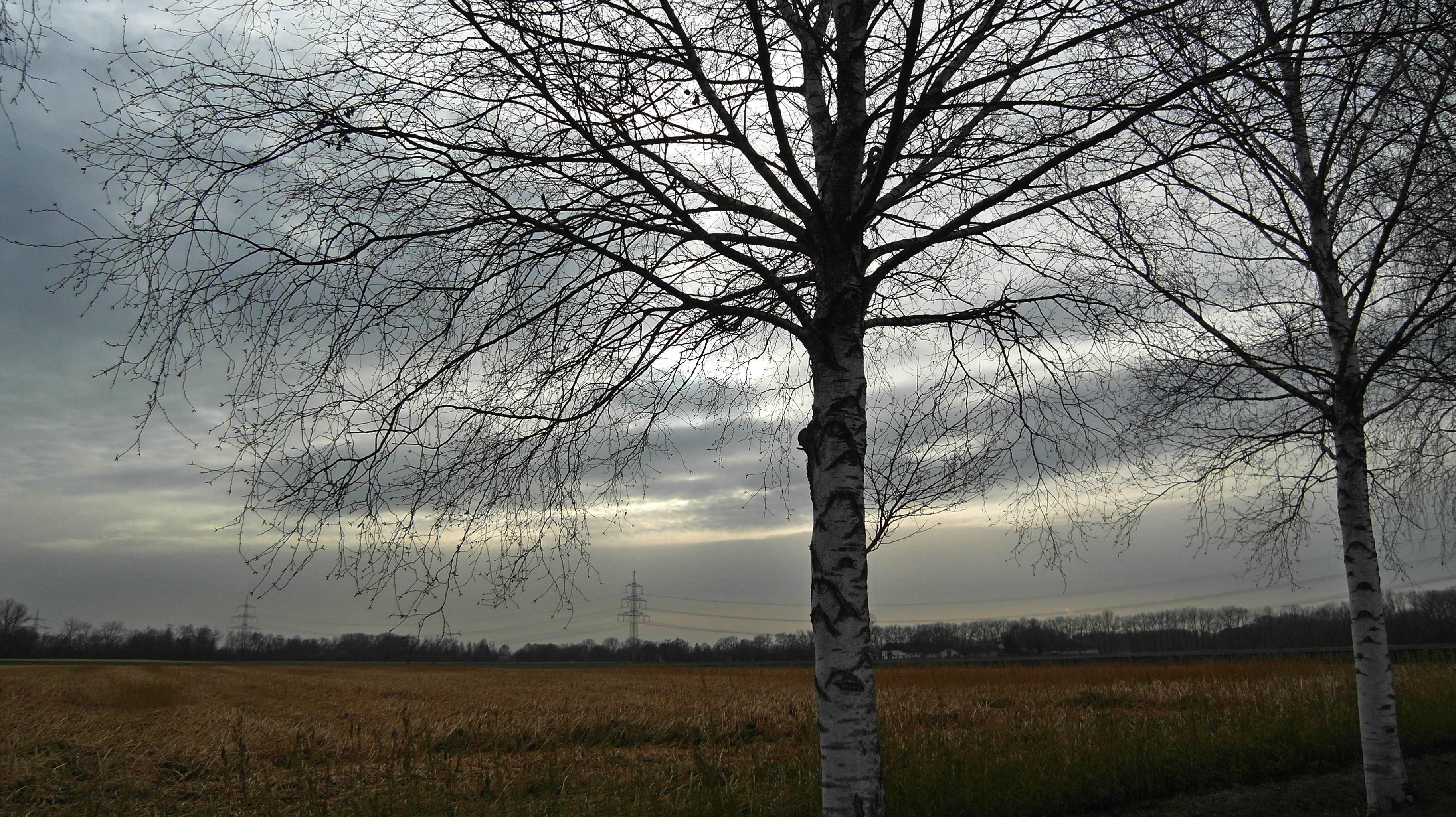 Kein Bild