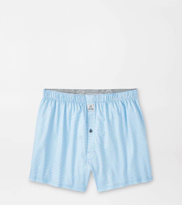 Nebraska Printed Gingham Check Stretch Jersey Boxer in Cottage Blue