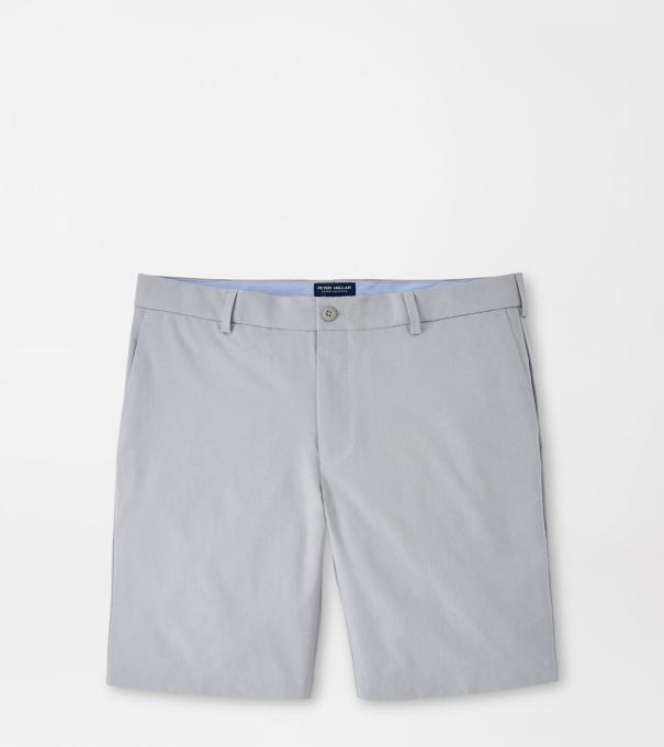 Surge Performance Short in Gale Grey