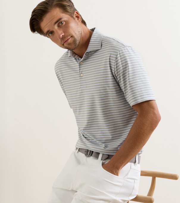 Ashford Performance Jersey Polo in Gale Grey