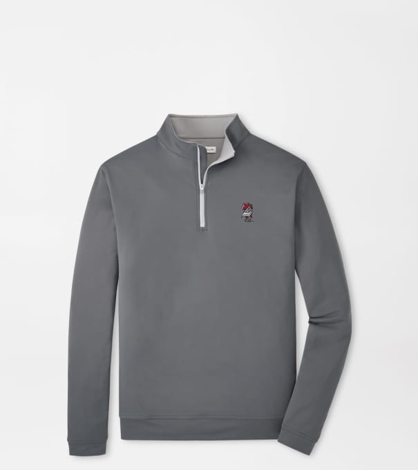South Carolina Vault Perth Performance Quarter-Zip in Iron
