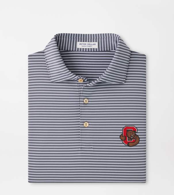 Cornell Tiebreaker Performance Jersey Stripe Polo in Iron