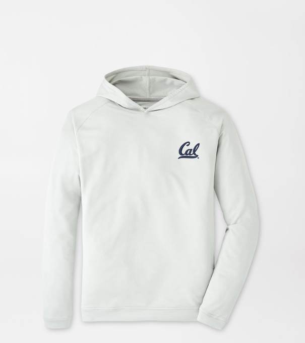University of California Berkeley Pine Performance Hoodie in British Grey