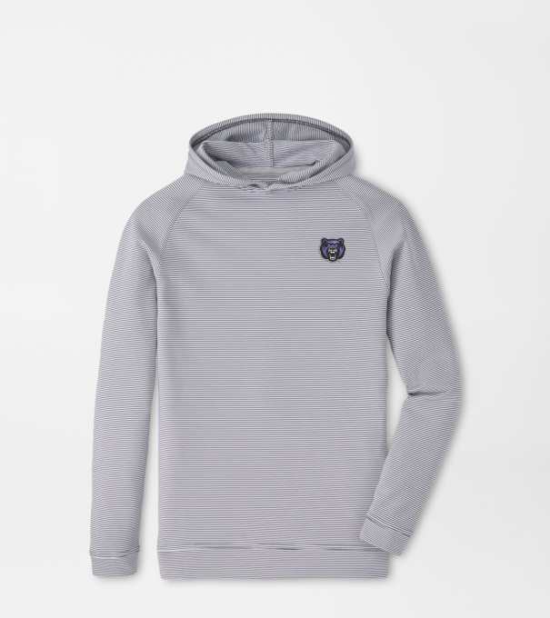 Central Arkansas Pine Youth Sugar Stripe Performance Hoodie in Iron