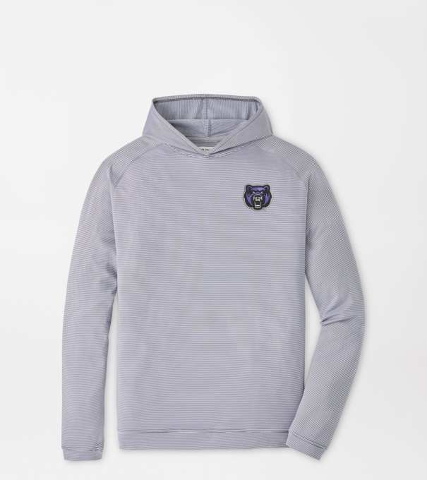 Central Arkansas Pine Sugar Stripe Performance Hoodie in Iron