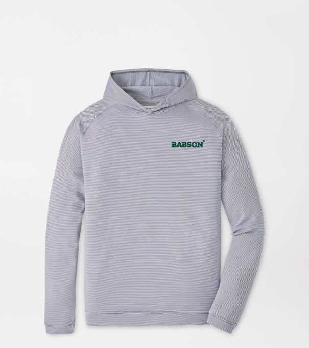 Babson Pine Sugar Stripe Performance Hoodie in Iron