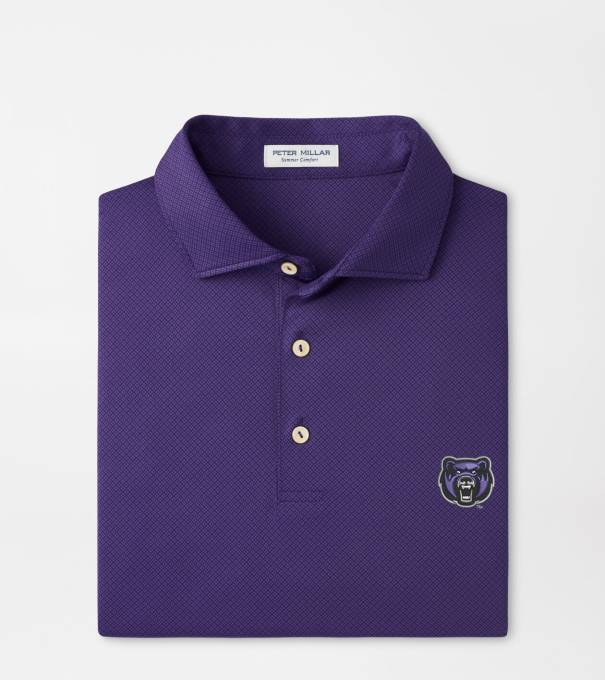 Central Arkansas Hugo Performance Jersey Polo in Purple2