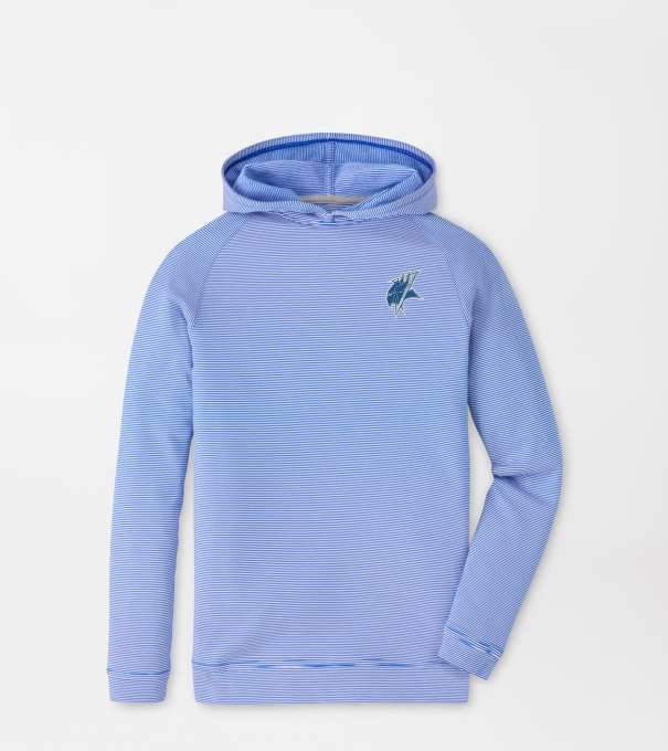 Elizabeth City Pine Youth Sugar Stripe Performance Hoodie in Blue3