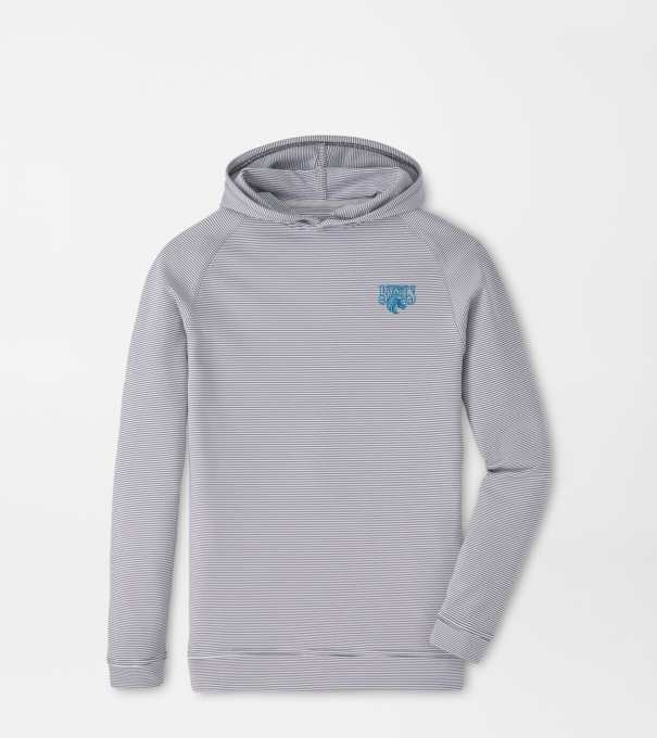 Fayettville State Pine Youth Sugar Stripe Performance Hoodie in Iron