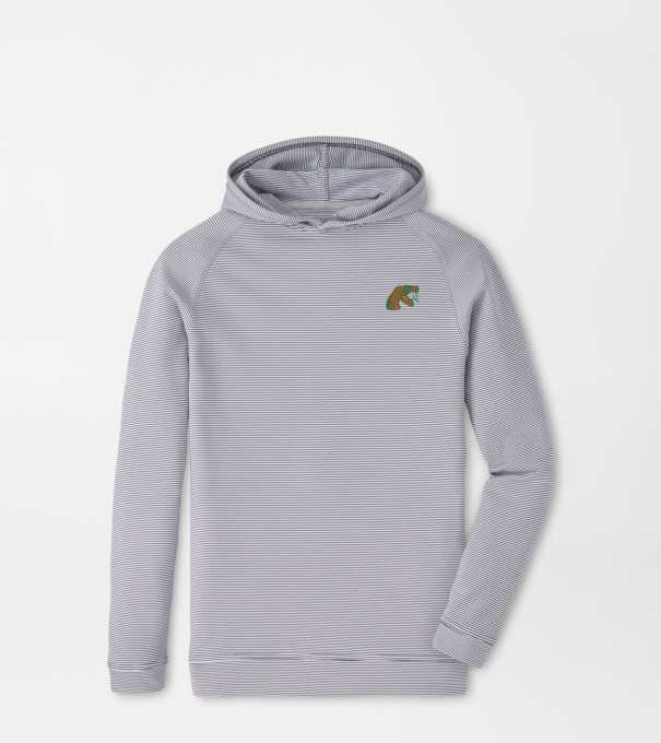 Florida A&M Pine Youth Sugar Stripe Performance Hoodie in Iron