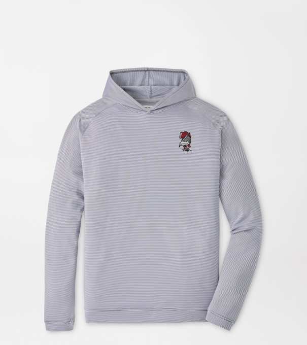 South Carolina Vault Pine Sugar Stripe Performance Hoodie in Iron
