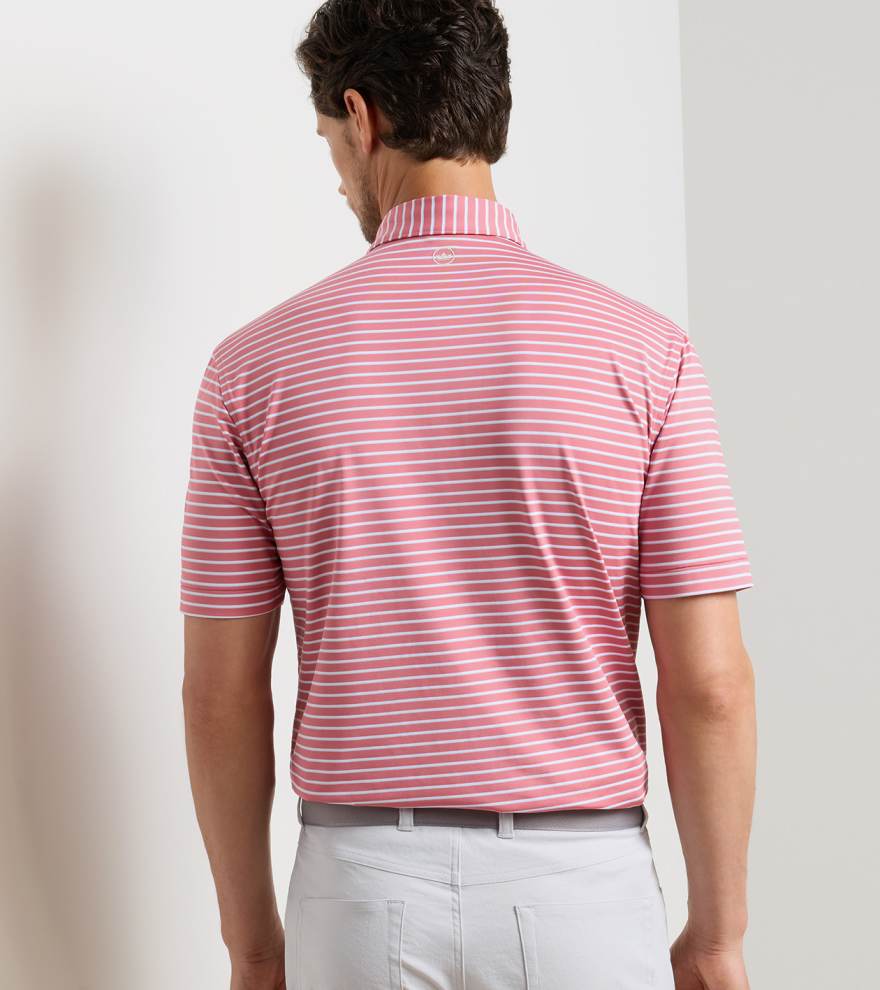 Dunnes Performance Jersey Polo - Alternate Image 2