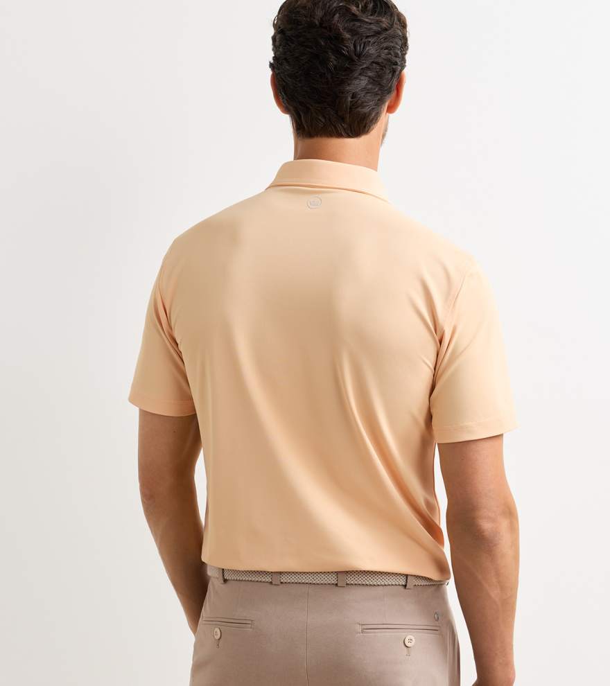 Soul Performance Mesh Polo - Alternate Image 2