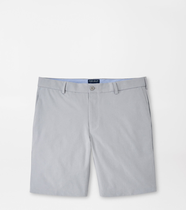 Surge Performance Short in Gale Grey
