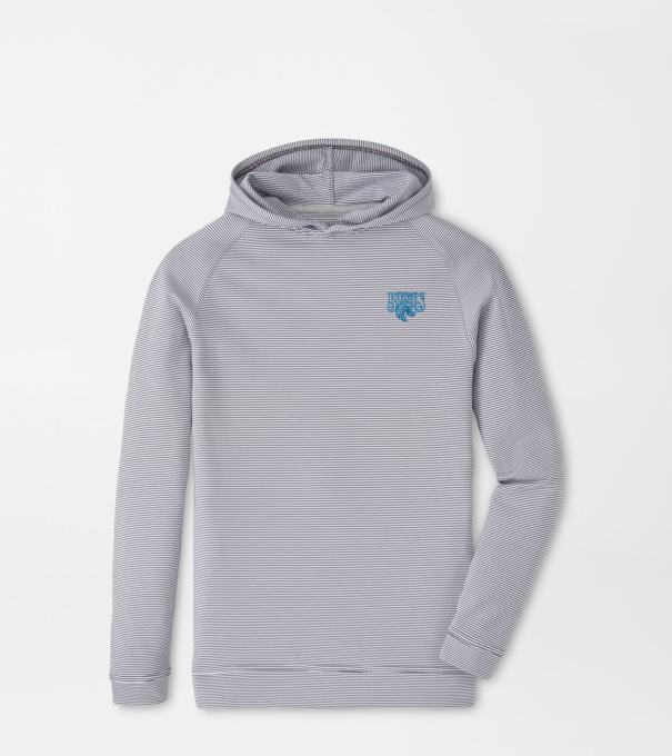 Fayettville State Pine Youth Sugar Stripe Performance Hoodie in Iron