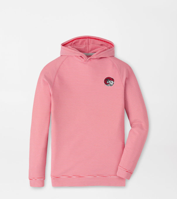 Winston Salem State Pine Youth Sugar Stripe Performance Hoodie in Red3