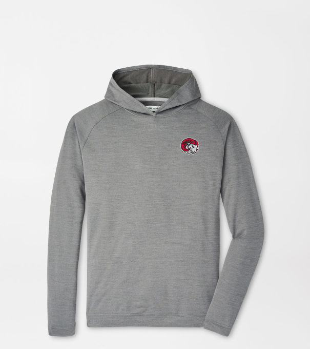 Winston Salem State Pine Performance Hoodie in Iron