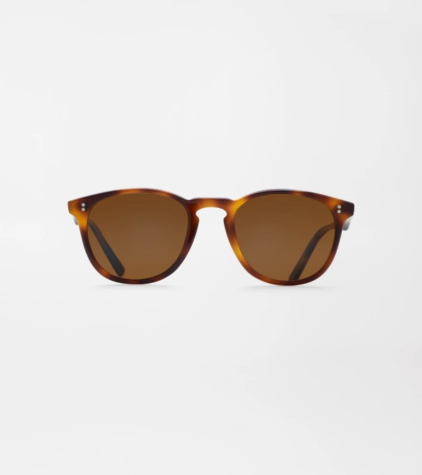 Tempest Sunglasses in Tortoise