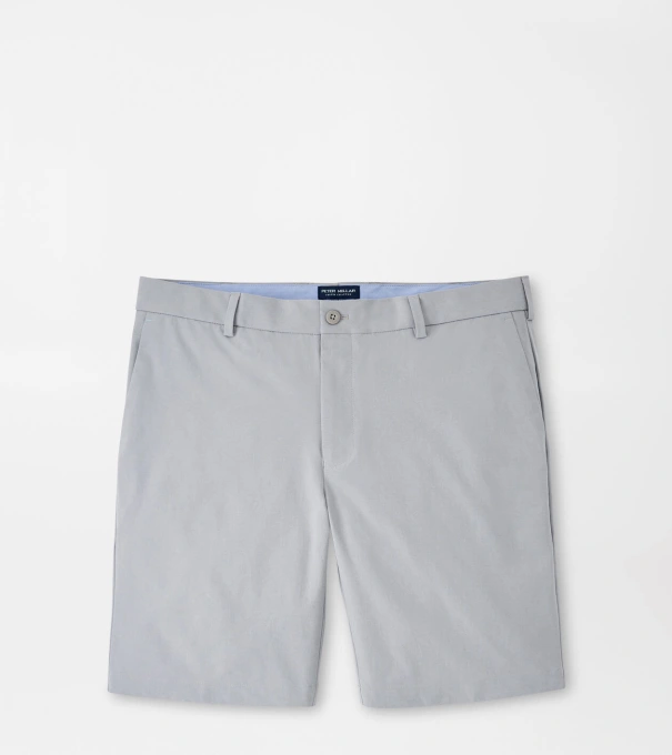 Surge Performance Short in Gale Grey