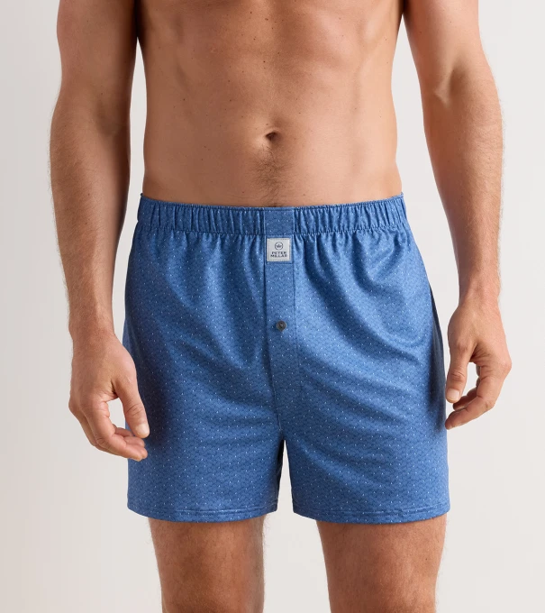 Negroni Performance Boxer Short in Windsor Blue