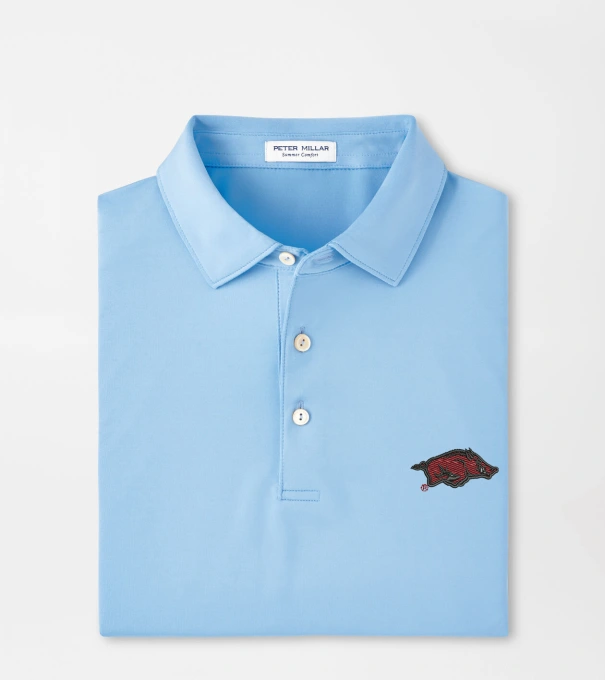 Arkansas Solid Performance Jersey Polo in Cottage Blue