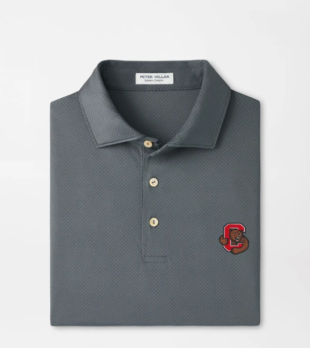 Cornell Hugo Performance Jersey Polo in Iron