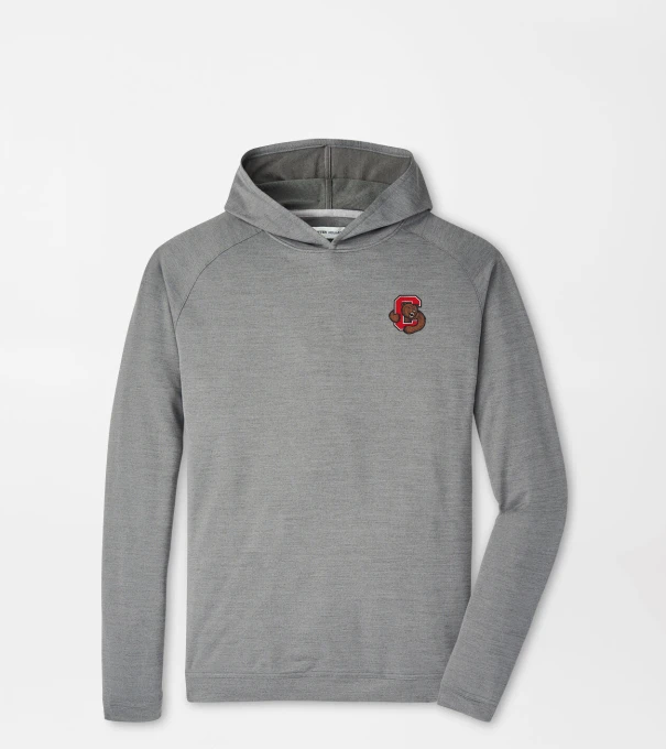 Cornell Pine Performance Hoodie in Iron