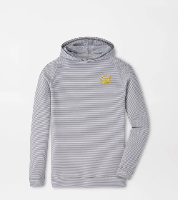 University of California Berkeley Pine Youth Sugar Stripe Performance Hoodie in Iron
