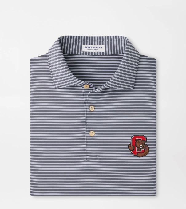 Cornell Tiebreaker Performance Jersey Stripe Polo in Iron