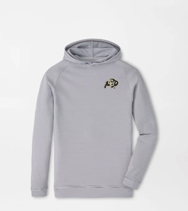 Colorado Pine Youth Sugar Stripe Performance Hoodie in Iron