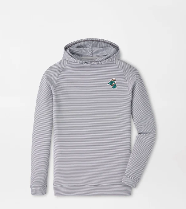 Coastal Carolina Pine Youth Sugar Stripe Performance Hoodie in Iron